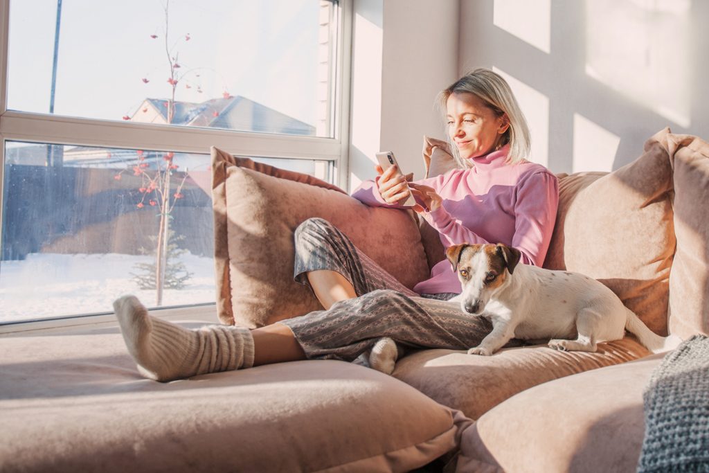 Bra möbler när du har hund